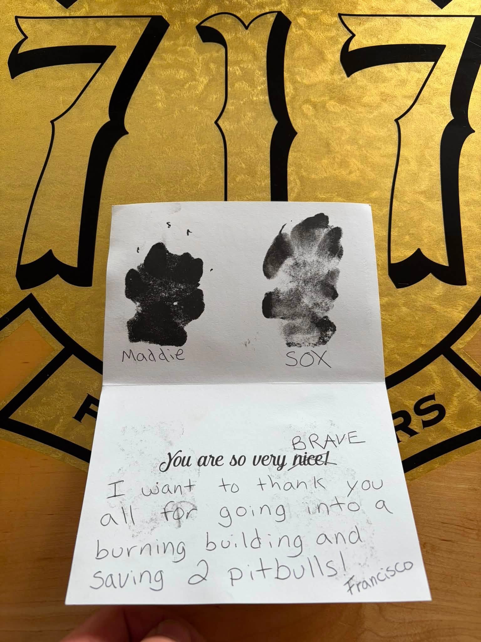 Puppy5